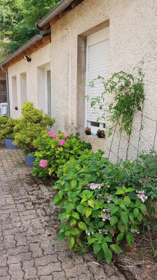 Gite La Providence Saint-Sernin-du-Plain Exterior foto